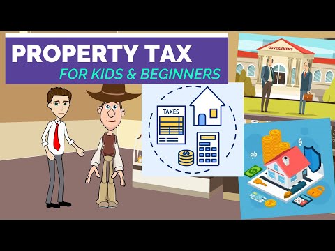 What is Property Tax? Taxes 101: Easy Peasy Finance for Kids and Beginners