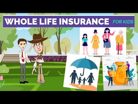 What is Whole Life Insurance? Insurance 101: Easy Peasy Finance for Kids and Beginners